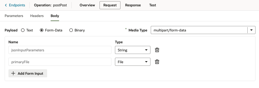 Screenshot showing the jasonInputParameters (String) and primaryFile (File) form elements that were created