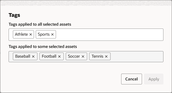 Redwood UI Asset Tags Dialog