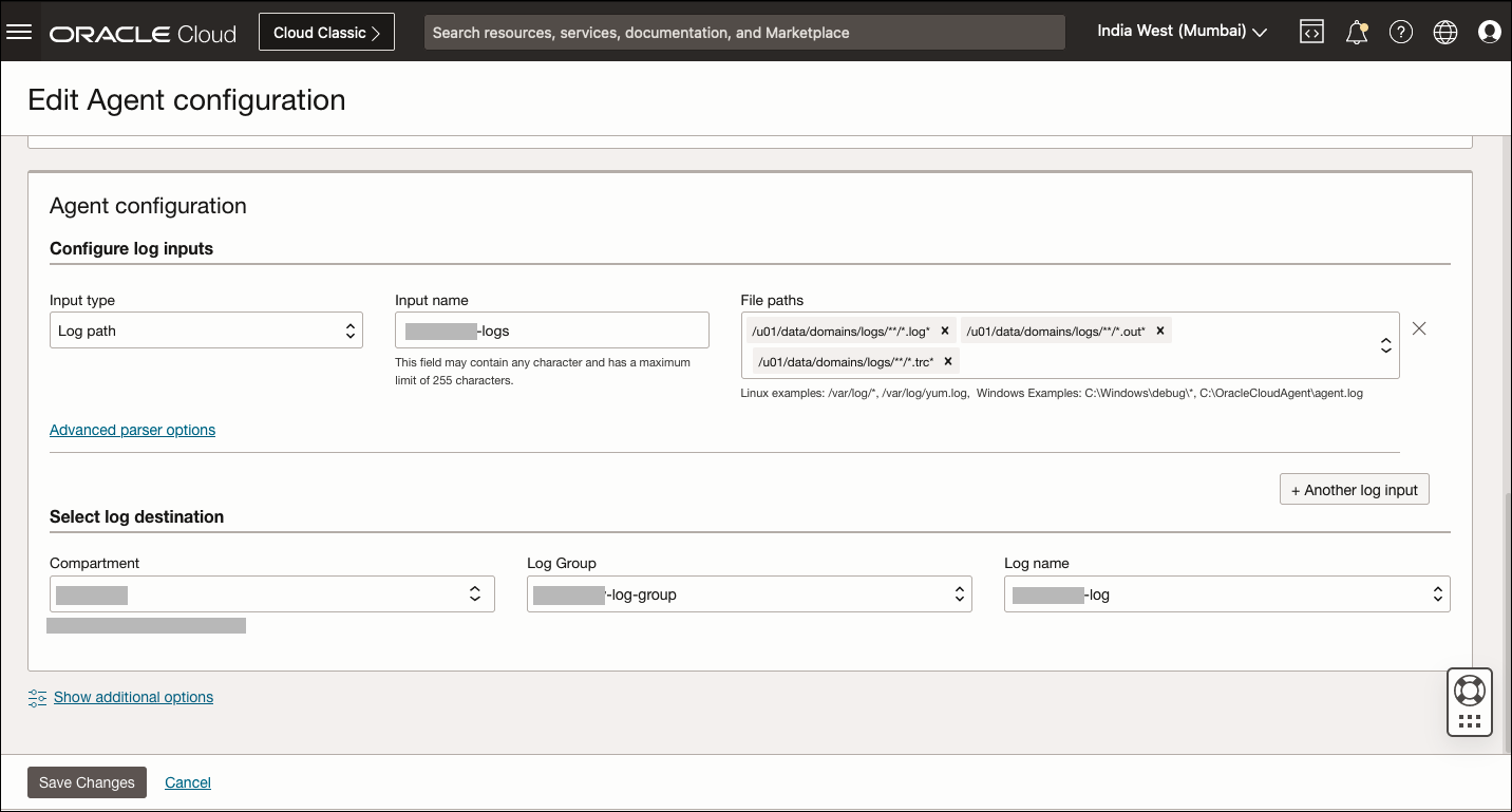 This image shows the Edit Agent configuration page.