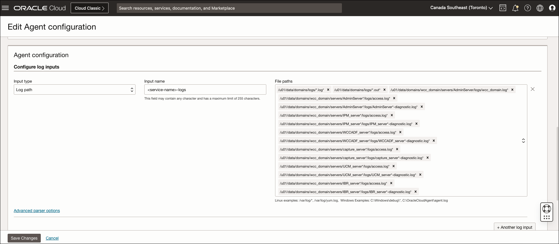 This image shows the Edit Agent configuration page.