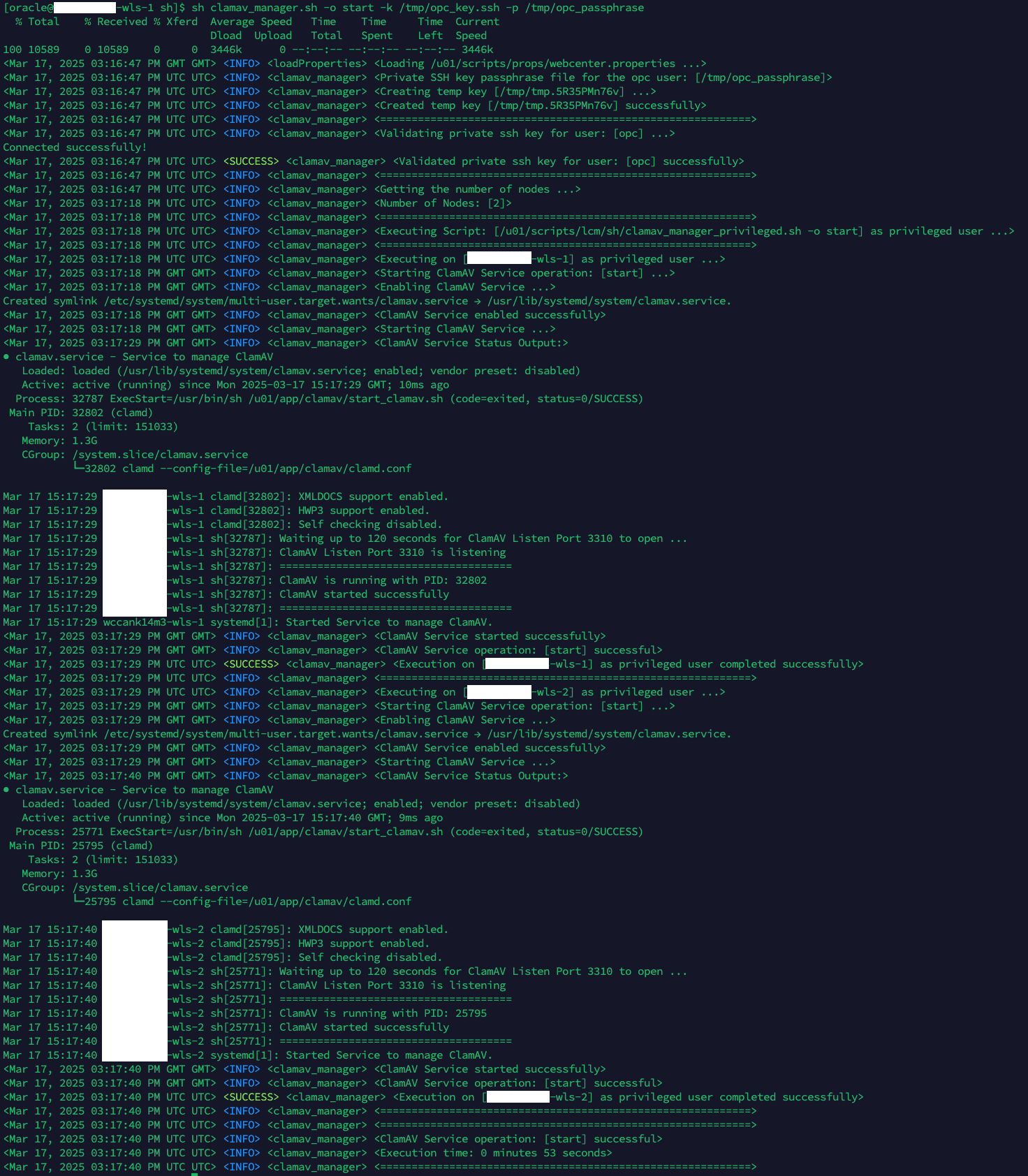 This image shows an example of expected clamav service start operation output.