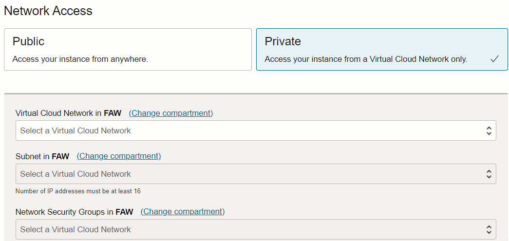 Private network access option