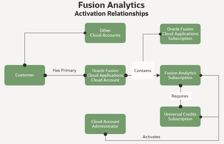 This image shows the Fusion Analytics activation relationships.