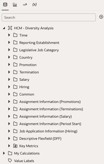 HCM - Diversity Analysis subject area details