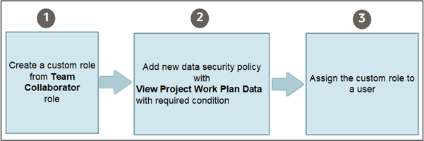Expanded view project plan access for non-team members