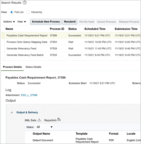 Search Results table and Details section on the Scheduled Processes Overview page