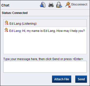 This figure shows the Chat page that opens after a customer submits a chat request, and is described in the preceding text.