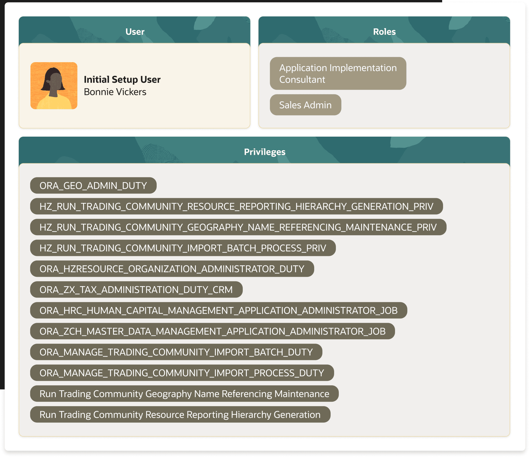 This image displays the list of roles and privileges needed to work with geographies.