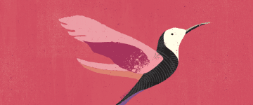 Get started with Oracle Customer Data Management