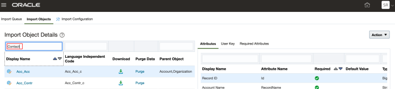 An image of the Display Name field in CX Sales