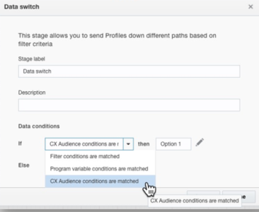 Use Data switch to leverage attributes for journey orchestration