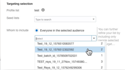 Access audiences for standalone campaigns in the Targeting section
