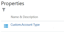 Shows the Custom.Account type name in the Properties page.