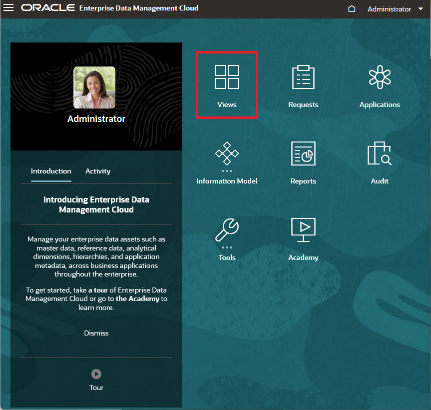 Enterprise Data Management Cloud home page with Views highlighted