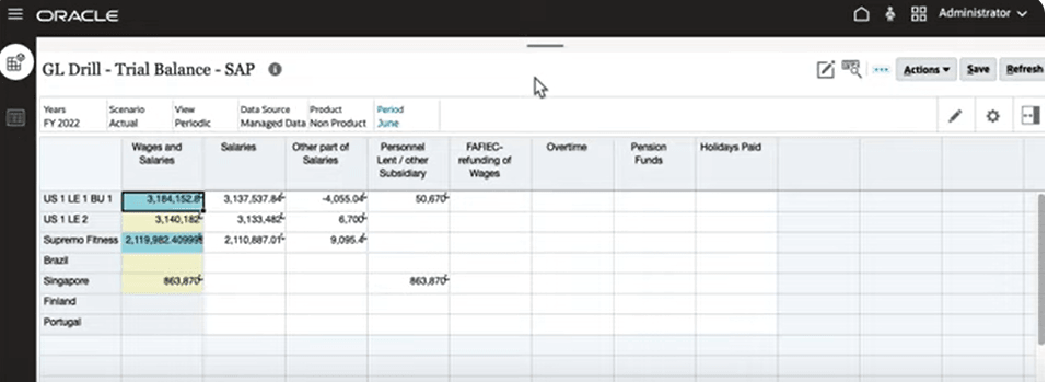 Image shows SAP Gl form in the Workbench.