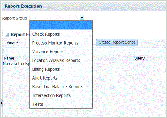 Image shows Report Execution screen.
