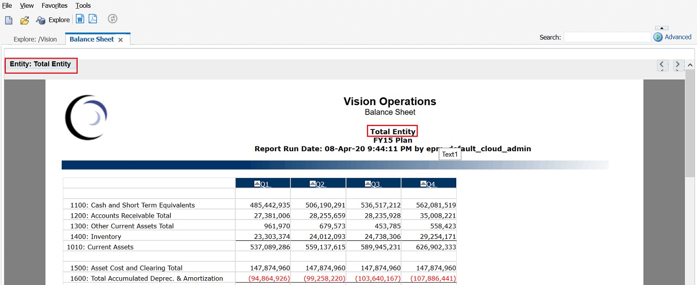 Vision Operations balance sheet showing Total Entity as the POV