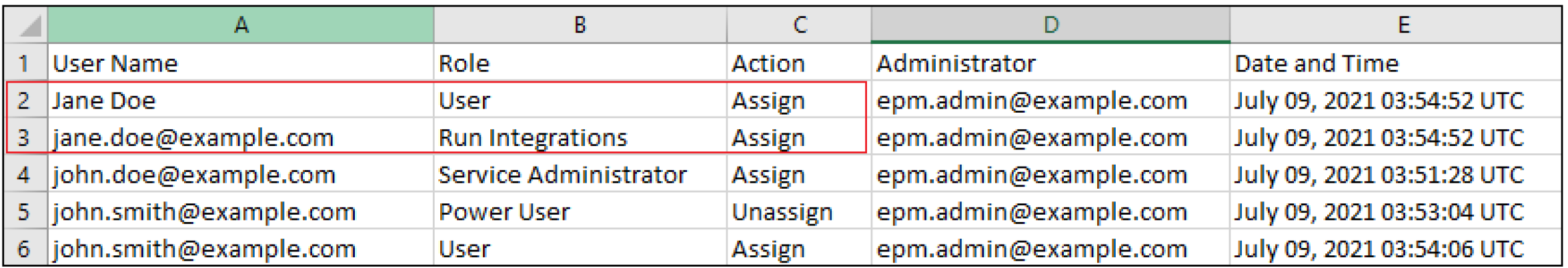 Sample Role Assignment Audit report