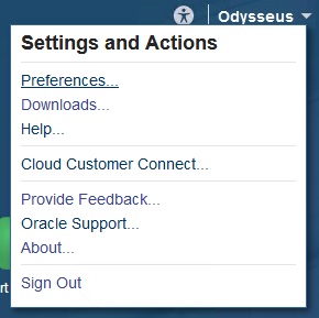 The user menu in the web interface, showing the Downloads option.