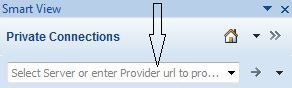 Shows the Smart View Panel, private connection area and text box where you enter a URL to make a quick connection to Enterprise Performance Reporting.