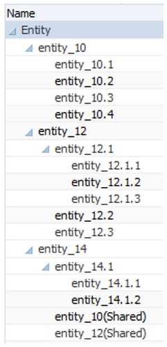 Entity dimension and its hierarchies, including a shared member hierarchy Entity dimension and its hierarchies, including a shared member hierarchy