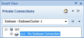 Smart View Panel showing tree expanded with the connection name selected