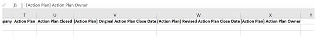 Header Row Example of Action Plan columns containing Action Plan in their names