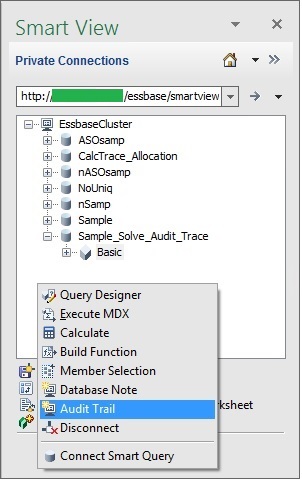 Smart View Panel for a private connection showing the Basic database selected. In the Action Panel, the "More" item was selected to reveal more menu item choices in a popup context menu. The Audit Trail menu item is highlighted.