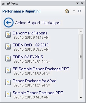 Performance Reporting Home panel, displaying list of active report packages.