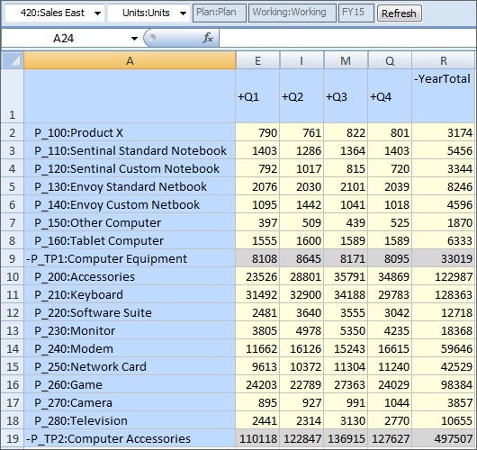 Shows a form with no invalid intersections; cells for each product are writable. Cells for product category totals are not writable.