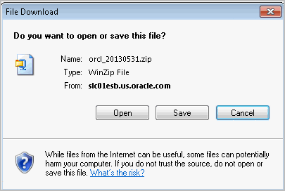 The image shows the File Download dialog.