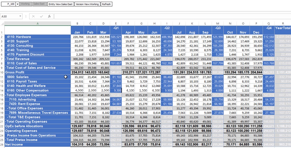 Image showing a Smart View runtime form with custom and cell styles applied