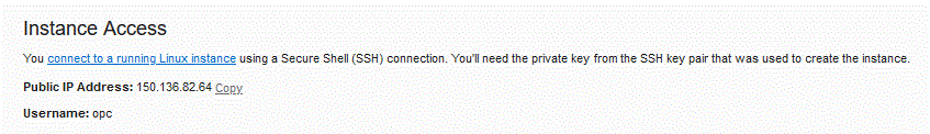 Image shows the public IP address.