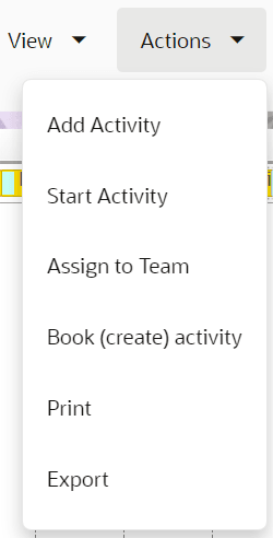 This screenshot shows the options in the Actions menu button.