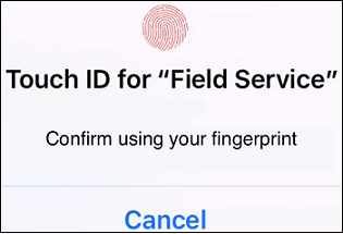This screenshot shows the fingerprint authentication dialog box on an iOS device.