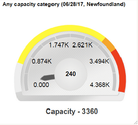 Image shows Capacity by category report.