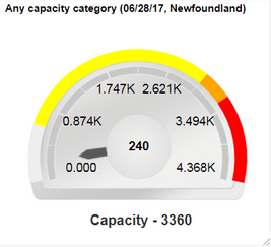 Image shows Capacity by category report.