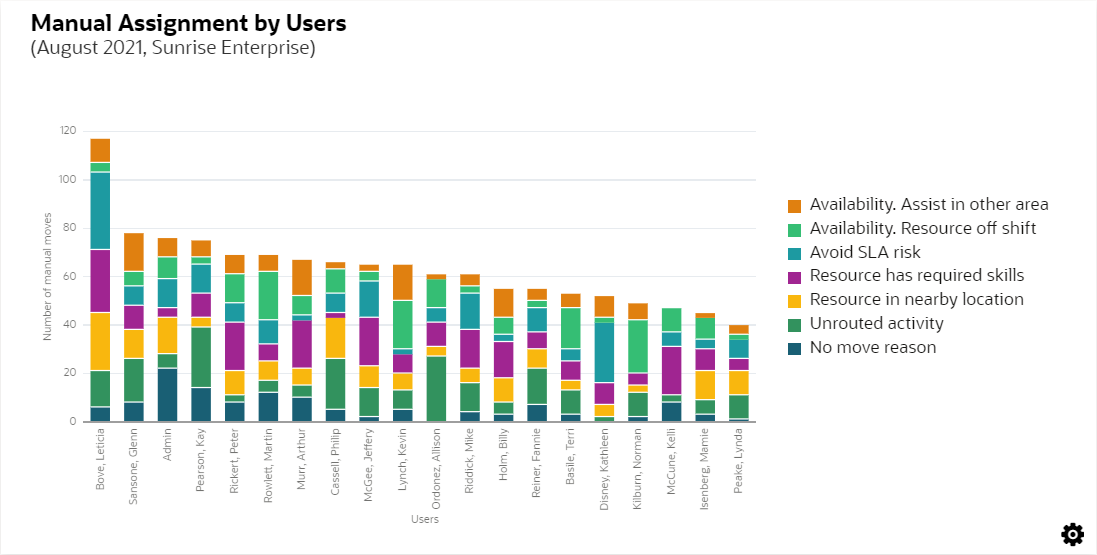 Image shows Manual Assignment by Users report