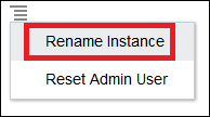 This image shows the Rename Instance option in the drop-down list.