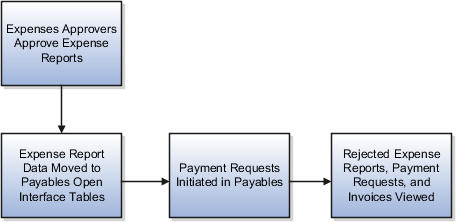 This figure illustrates the flow of data when the expense auditor runs the process named Process Expense Reimbursement.