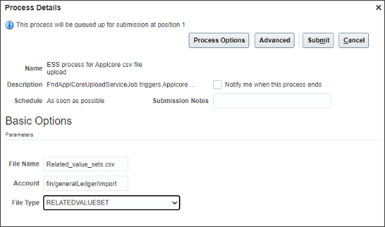 An example of the Process Details page with sample values for all of the parameters.
