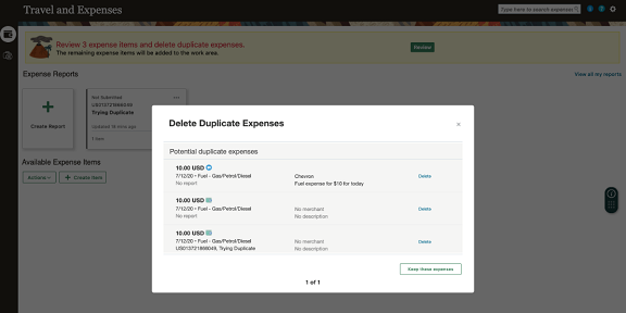 The figure shows banner at the top of the work area and the potential duplicate expenses.