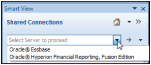 This figure shows the Shared Connections section on the Smart View panel.