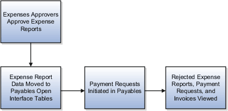 This figure illustrates the flow of data when the expense auditor runs the process named Process Expense Reimbursement.