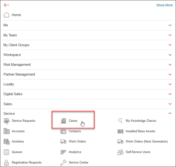 Screenshot of the navigator with Cases highlighted from Service