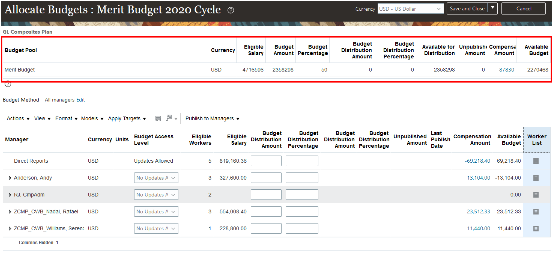 Example of the summary area of a budget worksheet showing the enabled columns. Here are the columns in this example: Budget Pool, Currency, Eligible Salary, Budget Amount, Budget Percentage, Available for Distribution, Unpublished Amount, Compensation Amount, and Available Budget.
