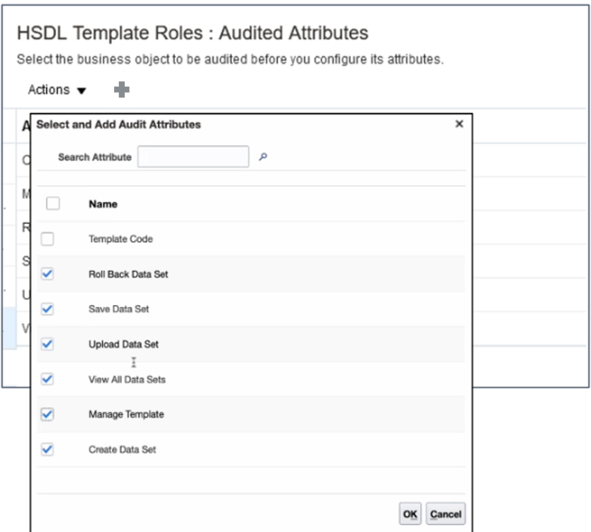 HSDL Template Roles Audited Attributes