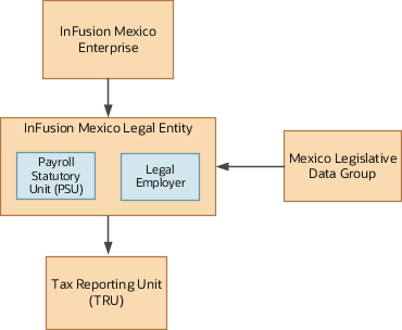 This figure shows a simple organization structure for Mexico