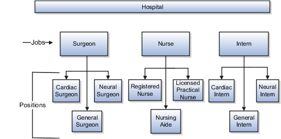 A figure that illustrates the positions setup for an health care industry with surgeons, nurses, and interns in different positions.