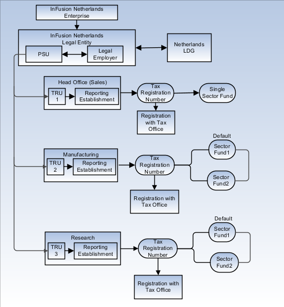 This figure displays an example of Single Company with Single Payroll Statutory Unit and Multiple Tax Reporting Units